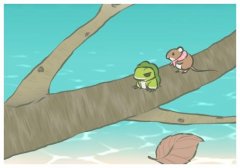 被打后还手属于正当防卫还是互殴?司法明确界限